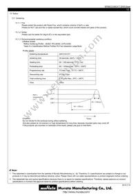 MYBSC0128CABT Datasheet Page 12