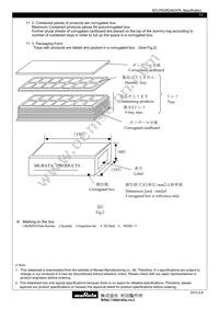 MYLPW3R34EAFN Datasheet Page 11