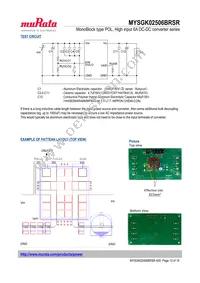 MYSGK02506BRSR Datasheet Page 13