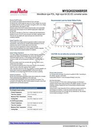 MYSGK02506BRSR Datasheet Page 18