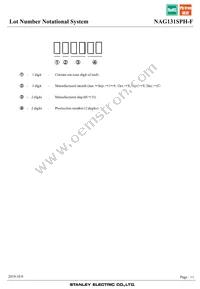 NAG131SPH-F Datasheet Page 11