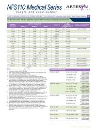 NFS110-7924 Datasheet Page 2