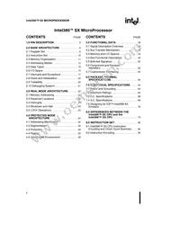 NG80386SXLP25 Datasheet Page 2