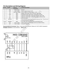 NHD-10032AZ-FSPG-YBW Datasheet Page 4