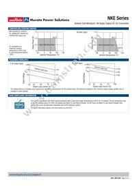 NKE1209DC Datasheet Page 3