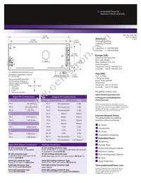 NLP110-9608 Datasheet Page 4