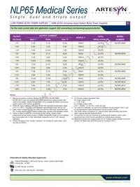 NLP65-9929 Datasheet Page 2