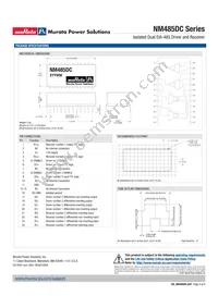 NM485DC Datasheet Page 6