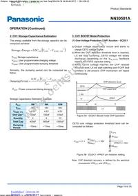 NN30501A-VB Datasheet Page 19