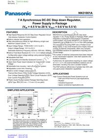 NN31001A-BB Datasheet Cover