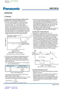 NN31001A-BB Datasheet Page 13