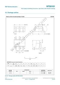 NTS0101GS Datasheet Page 16