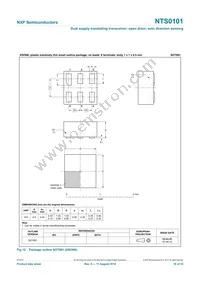 NTS0101GS Datasheet Page 18