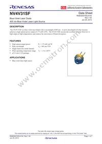NV4V31SF-A Datasheet Cover