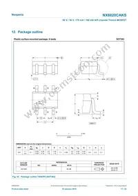 NX6020CAKSX Datasheet Page 17