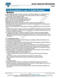 O100H016CWPP5N0000 Datasheet Page 20