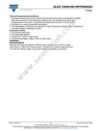 O100H016DWPP5N0000 Datasheet Page 13