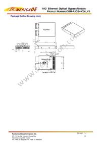 OBM-A3CB4-C06 Datasheet Page 13