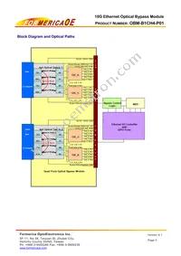 OBM-B1CH4-P01 Datasheet Page 3