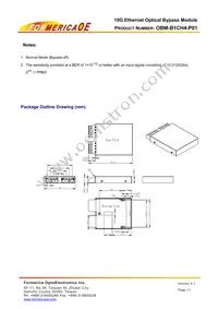 OBM-B1CH4-P01 Datasheet Page 11