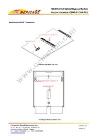 OBM-B1CH4-P01 Datasheet Page 12