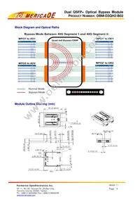 OBM-D3QH2-B02 Datasheet Page 3