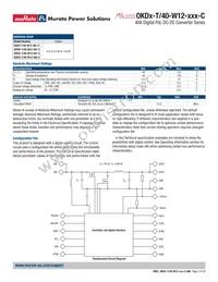 OKDY-T/40-W12-001-C Datasheet Page 2