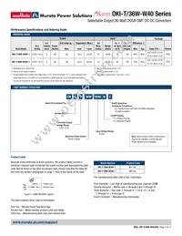 OKI-T/36W-W40P-C Datasheet Page 2
