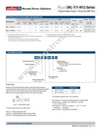 OKL-T/1-W12P-C Datasheet Page 2