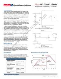 OKL-T/1-W12P-C Datasheet Page 17