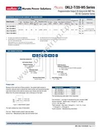 OKL2-T/20-W5N-C Datasheet Page 2