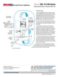 OKL2-T/3-W5N-C Datasheet Page 17