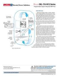 OKL2-T/6-W12P-C Datasheet Page 17