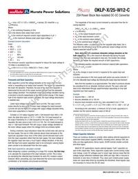 OKLP-X/25-W12-C Datasheet Page 17