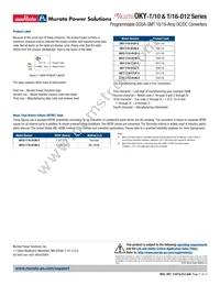 OKY2-T/10-D12N-C Datasheet Page 17