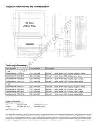 OS096064PK11MW1B10 Datasheet Page 2