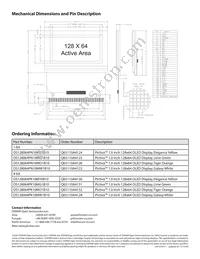 OS128064PK10MW1B10 Datasheet Page 2