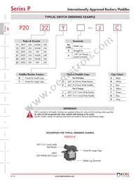 P2023YZ-HG Datasheet Page 3