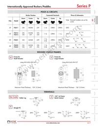 P2023YZ-HG Datasheet Page 4