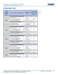 P278HE102M480A Datasheet Page 2