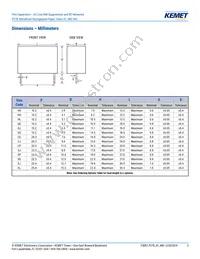 P278HE102M480A Datasheet Page 3