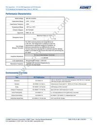P278HE102M480A Datasheet Page 4