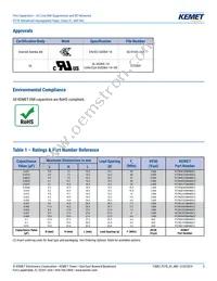 P278HE102M480A Datasheet Page 5