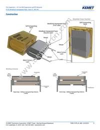 P278HE102M480A Datasheet Page 8