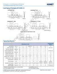 P278HE102M480A Datasheet Page 11