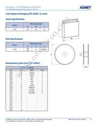 P278HE102M480A Datasheet Page 12