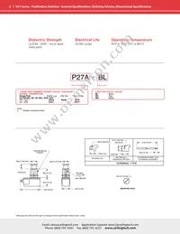 P27B-BL Datasheet Page 2