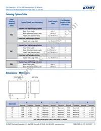 P409CP104M275AH151 Datasheet Page 2