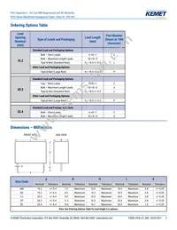 P410EE104M300AH101 Datasheet Page 2