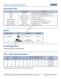 P410EE104M300AH101 Datasheet Page 4